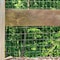 Garden Zone Garden Craft 48 in. H X 50 ft. L Steel Welded Wire Fence 2x3 in. 034850 - alternate 4